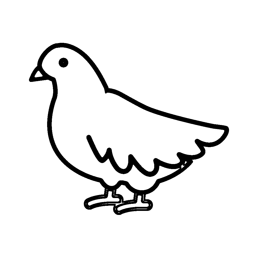 bird