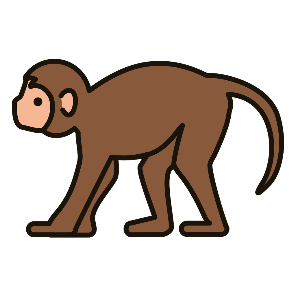 monkey